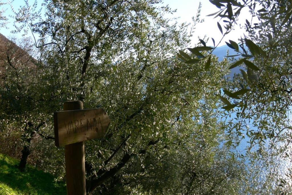 Luci sul Lago - A Real Paradise Perledo Exterior foto