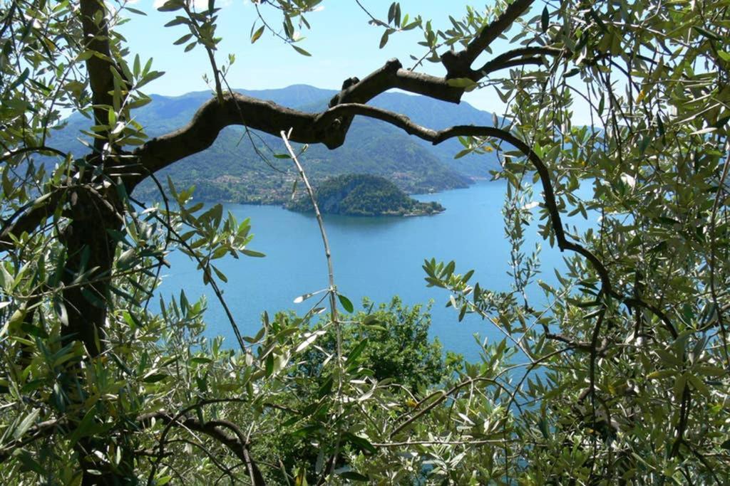 Luci sul Lago - A Real Paradise Perledo Exterior foto